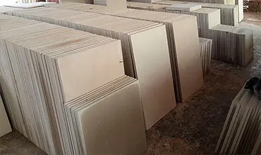 Dholpur Beige Sandstone honed finish texture
